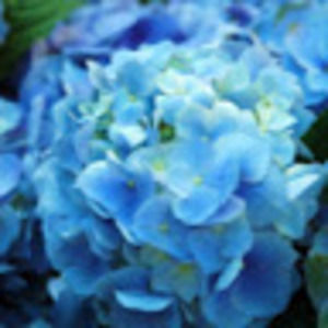 Meet your Posher, Erykah